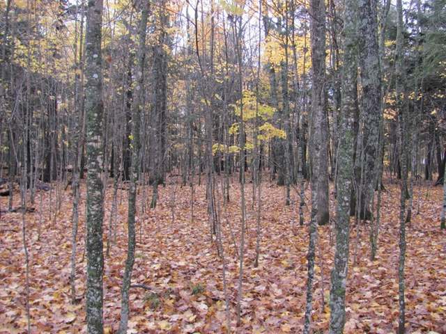 Three Connors Road, Unit LOT 6 Three Lakes, WI 54562 - Photo 2 of 7 Gallery Image 2
