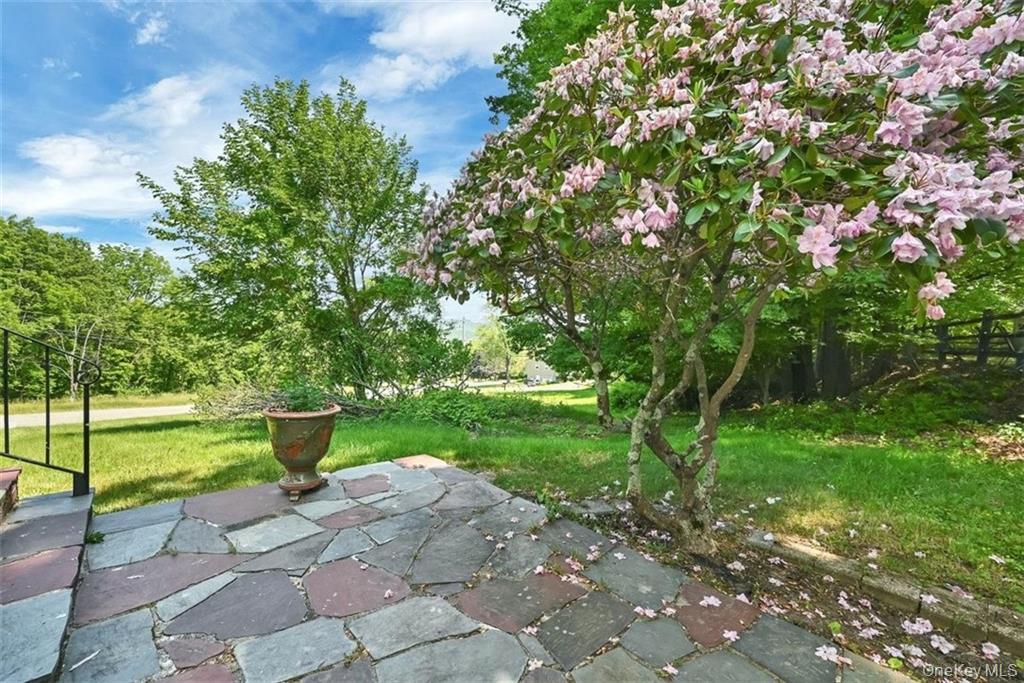 7 Schunnemunk Road Highland Mills, NY 10930 - Photo 22 of 27 a green field with lots of bushes