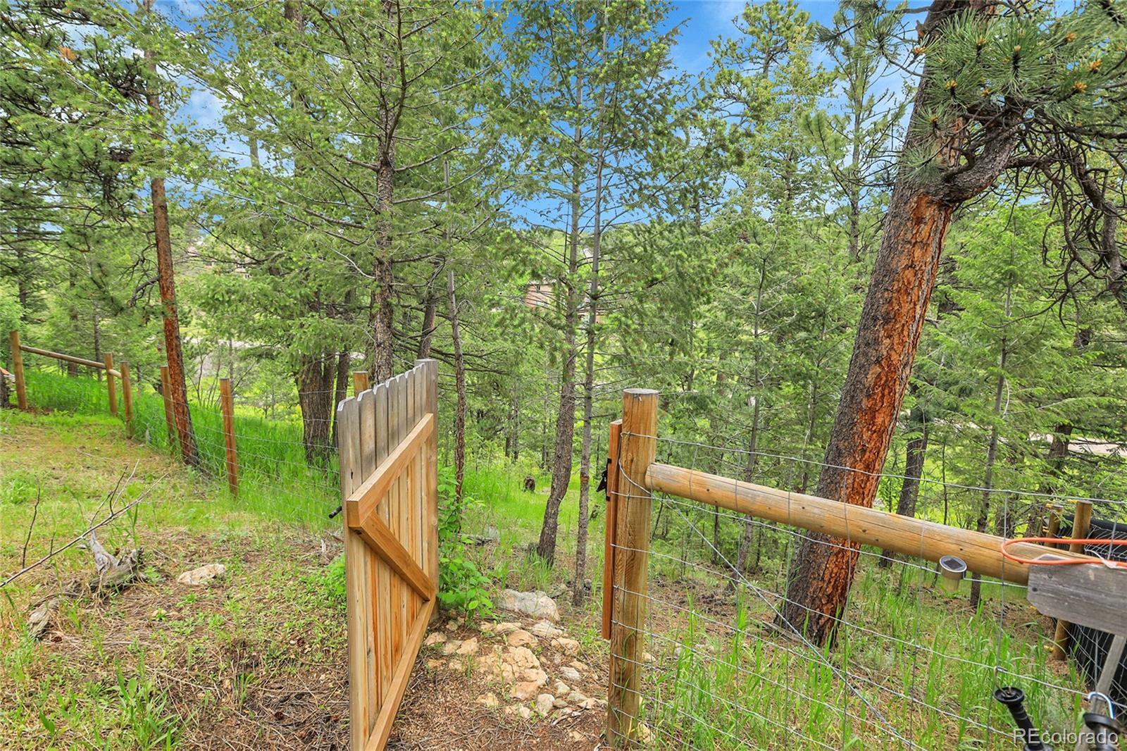 30273 Conifer Road Evergreen, CO 80439 - Photo 45 of 50 Gallery Image 45