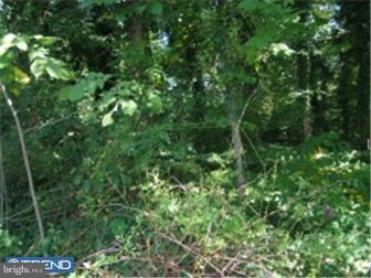 Lot 79 Locust Road Newtown Square, PA 19073 - Photo 1 of 4 Gallery Image 1