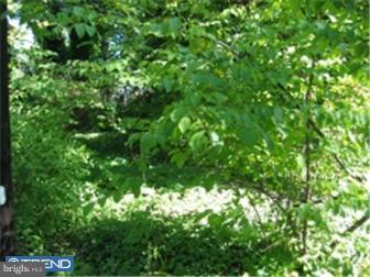 Lot 79 Locust Road Newtown Square, PA 19073 - Photo 4 of 4 Gallery Image 4