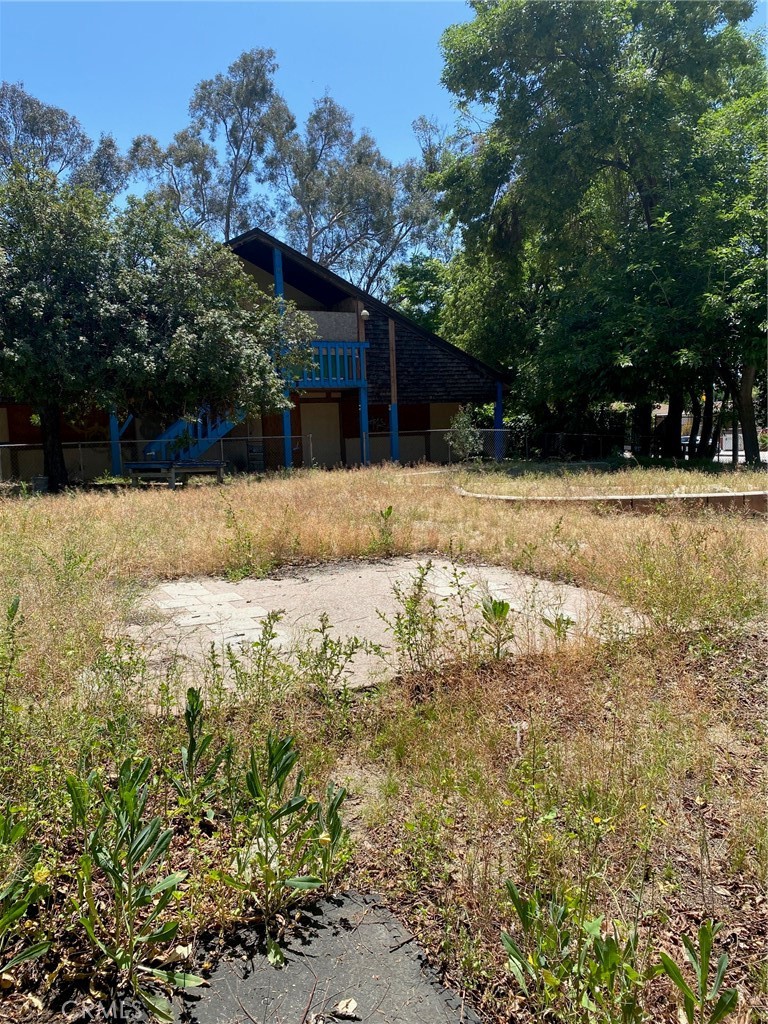 220 West Big Springs Road Riverside, CA 92507 - Photo 14 of 39 a view of swimming pool with a yard