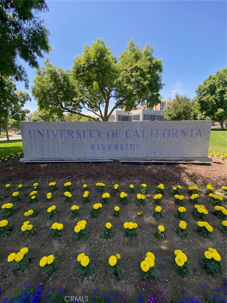220 West Big Springs Road Riverside, CA 92507 - Photo 39 of 39 a view of a tree in front of a wooden fence