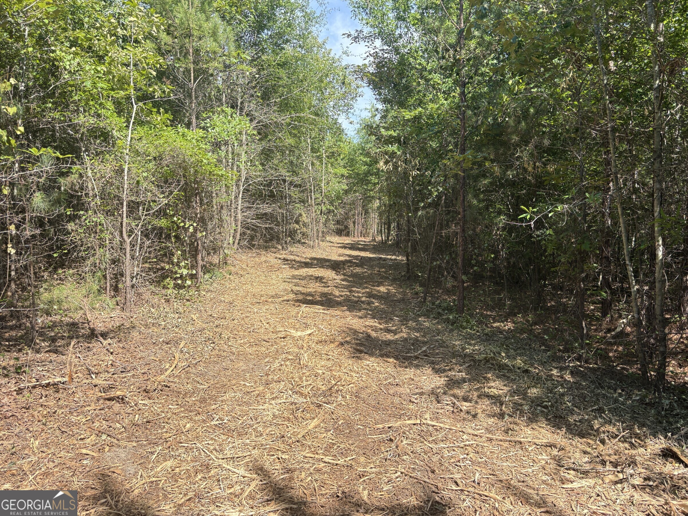 L1 Prosser Road Sandersville, GA 31082 - Photo 10 of 10