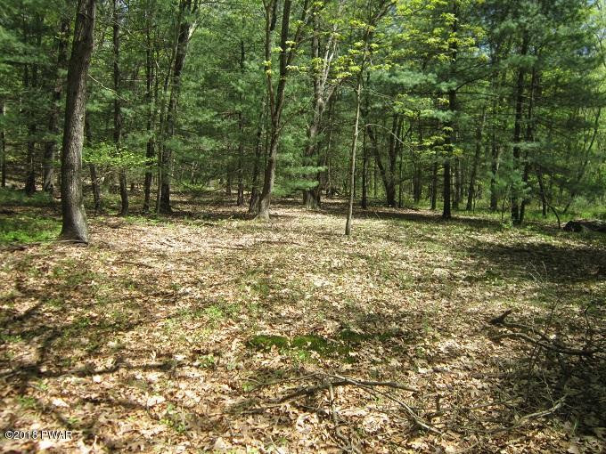 464 Stabler Road Hawley, PA 18428 - Photo 3 of 4