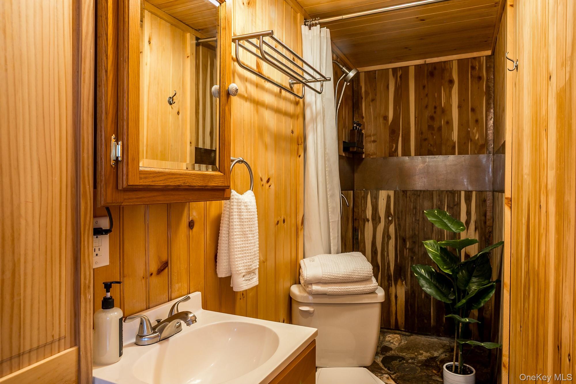 165 High Falls Road Extension Catskill, NY 12414 - Photo 25 of 28 a bathroom with a sink a toilet and shower