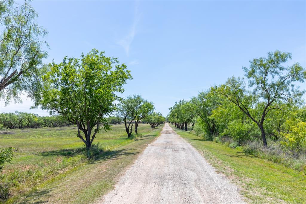 6702 West Lake Road Abilene, TX 79601 - Photo 2 of 21 a view of a park with large trees