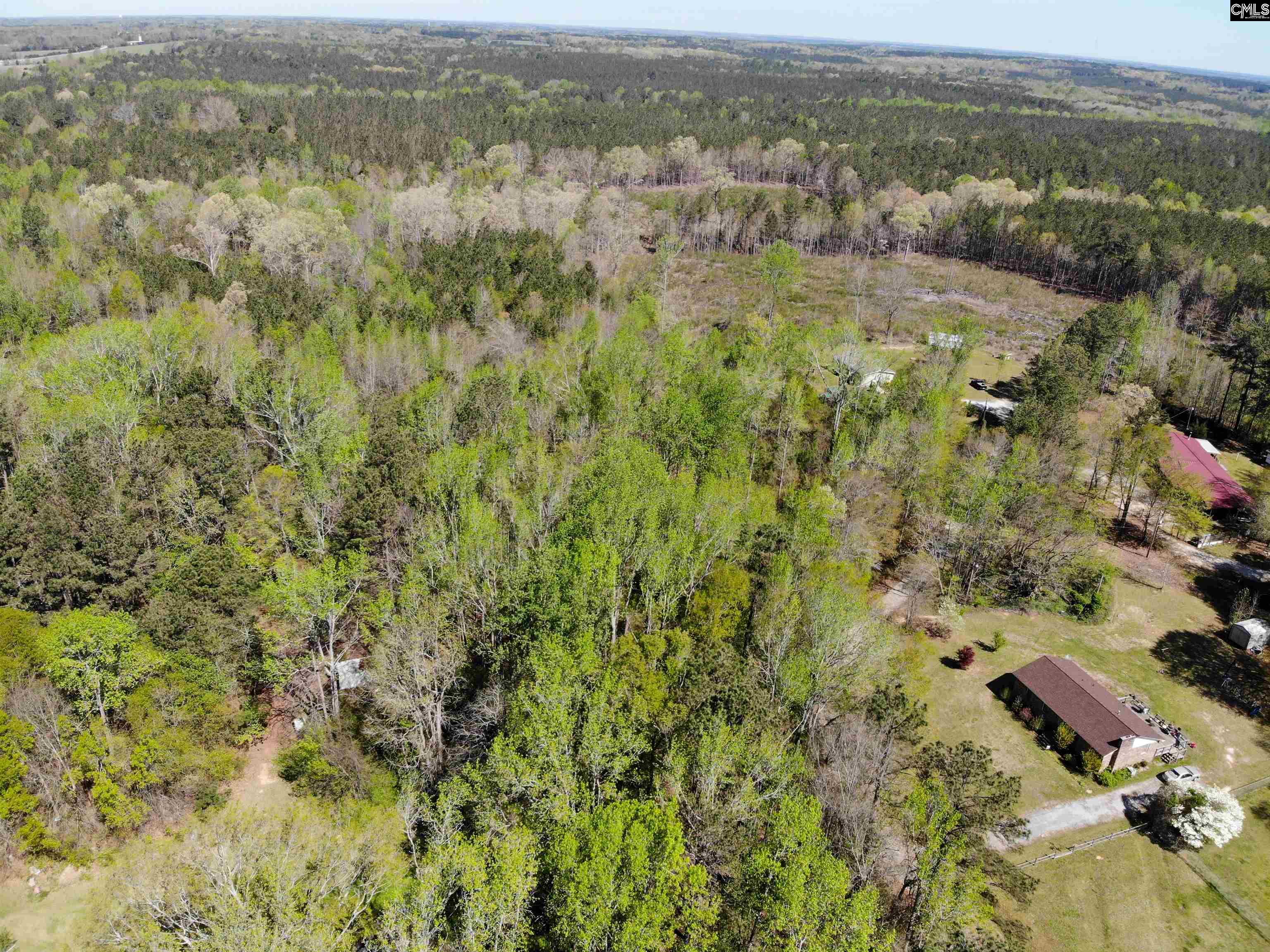 Tbd James Road Joanna, SC 29351 - Photo 24 of 82