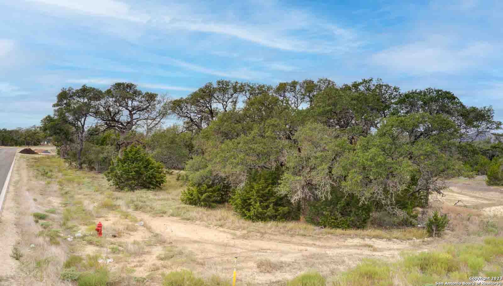 704 Sharp Spgs Road Bulverde, TX 78163 - Photo 7 of 9 a view of a yard with plants and a large tree