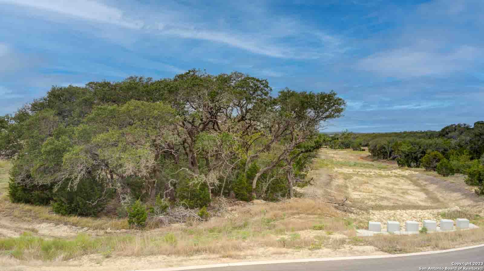 704 Sharp Spgs Road Bulverde, TX 78163 - Photo 8 of 9 a view of a yard
