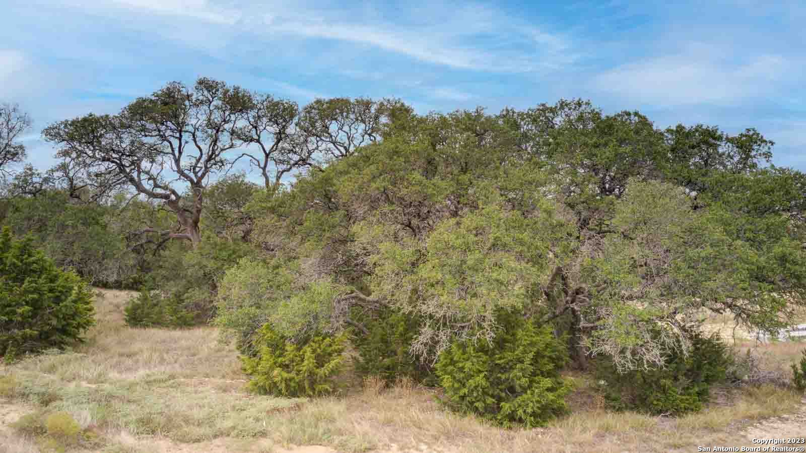 704 Sharp Spgs Road Bulverde, TX 78163 - Photo 9 of 9 a view of a yard with a tree