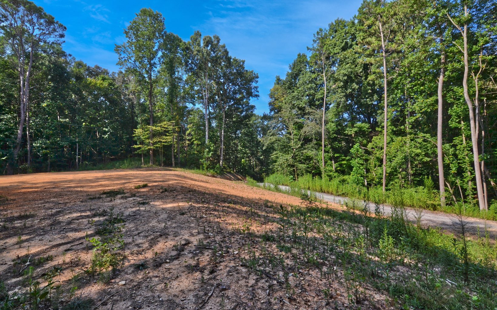 857 Mt Zion Road Ellijay, GA 30536 - Photo 12 of 23 Additional View