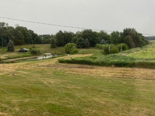 20435 Dewey Lake Street Decatur, MI 49045 - Photo 29 of 33 IMG_1144