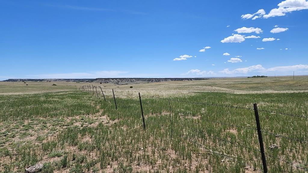 110 County Road 110 Rye, CO 81069 - Photo 3 of 37