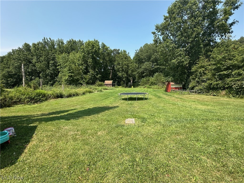 15528 Stoltz Road Diamond, OH 44412 - Photo 27 of 28 View of yard