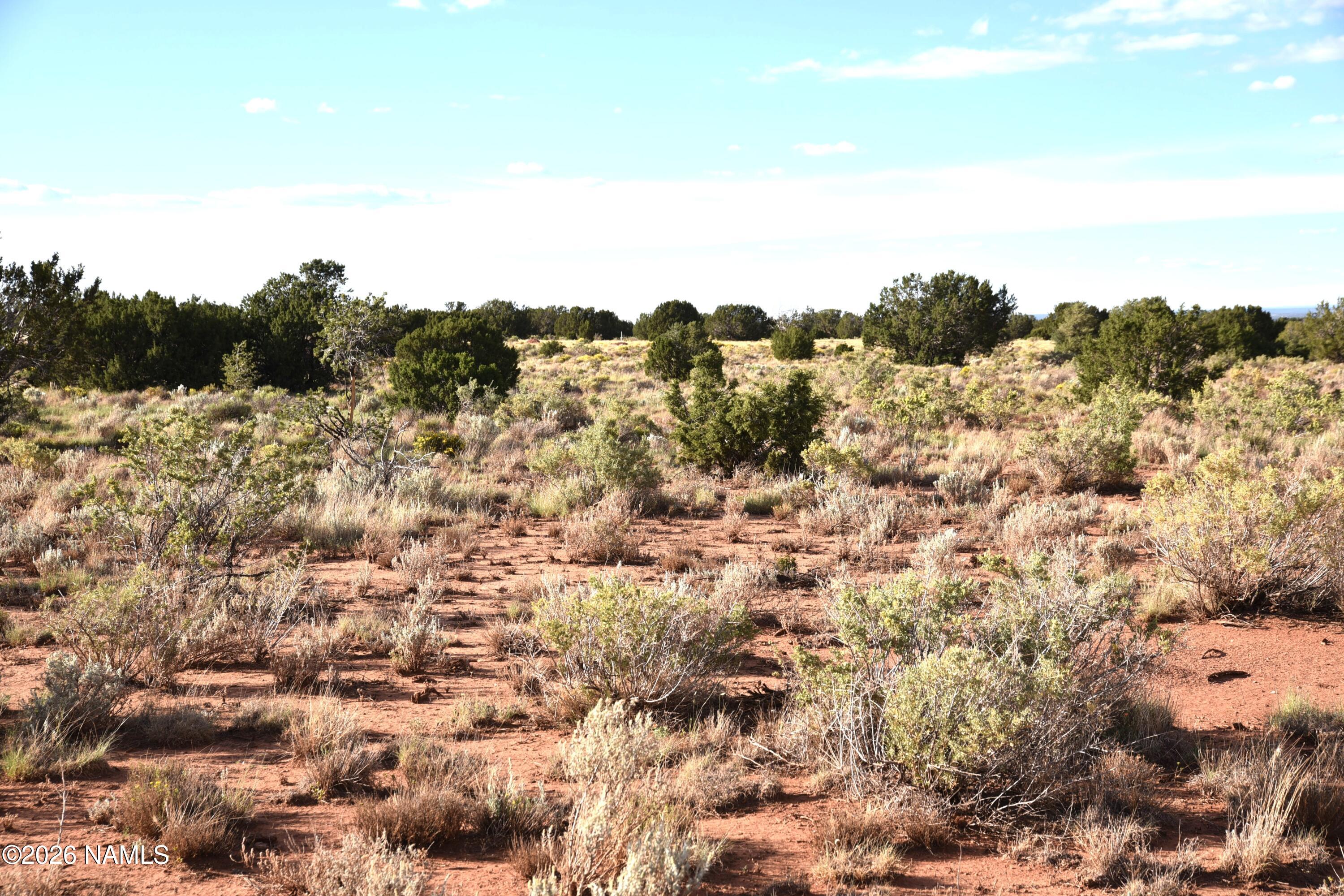 0 North Santa Clara Road Williams, AZ 86046 - Photo 6 of 11 DSC_5537