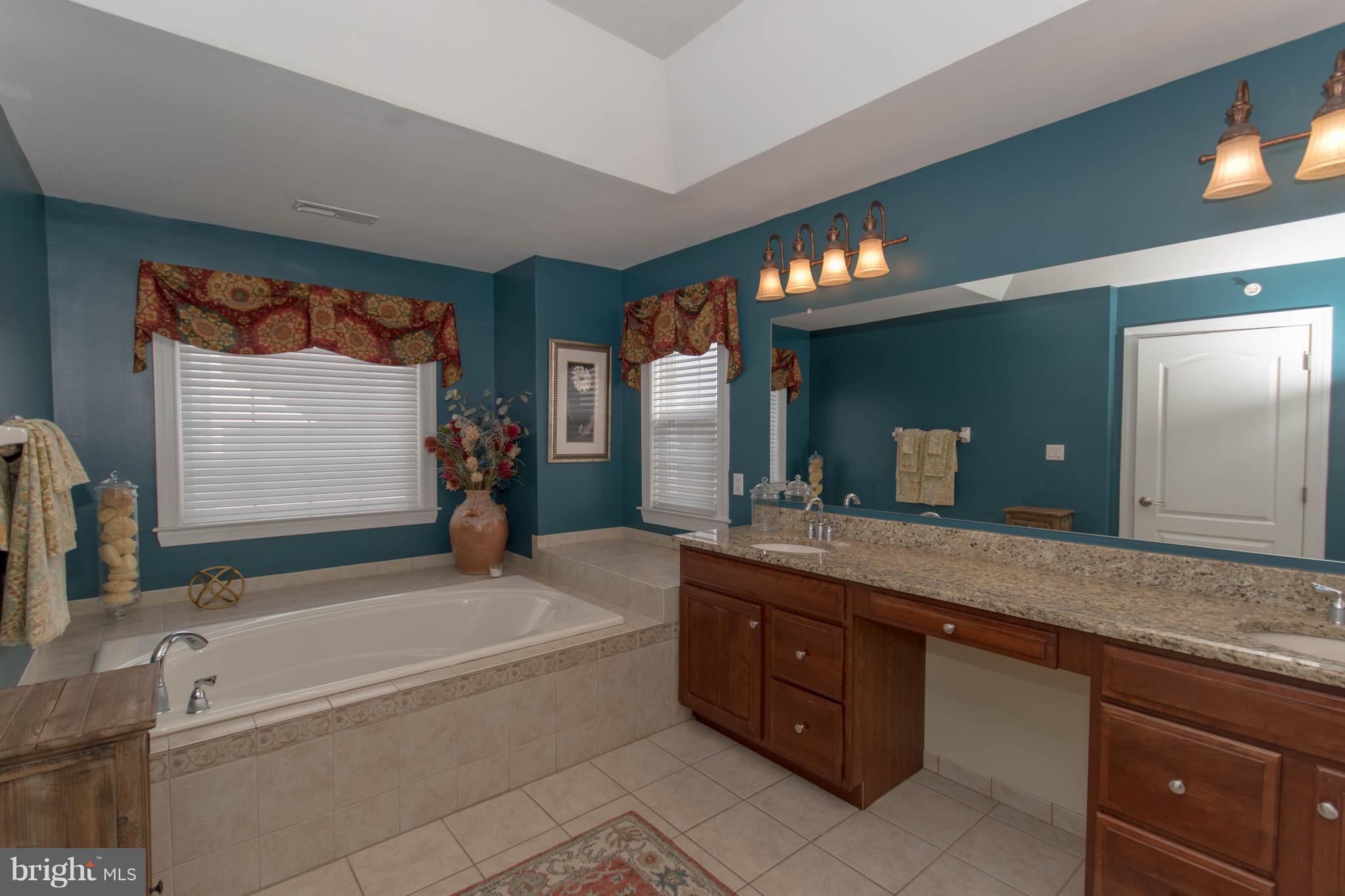 3832 Springtown Road Furlong, PA 18925 - Photo 27 of 42 Master Bath