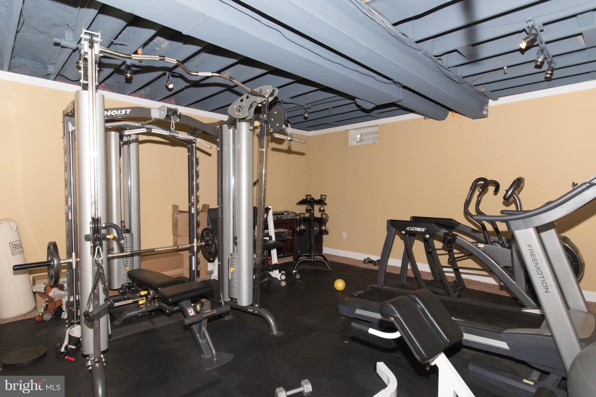 3832 Springtown Road Furlong, PA 18925 - Photo 32 of 42 Gyn in Finished Basement