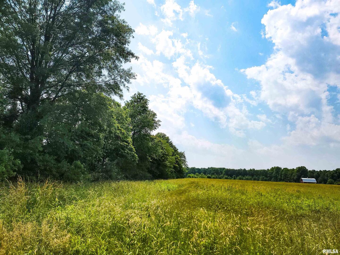 199 Hanging Rock Road Flora, IL 62839 - Photo 1 of 10 a view of an ocean and beach