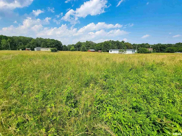 $59,900 | 199 Hanging Rock Road, Flora, IL 62839