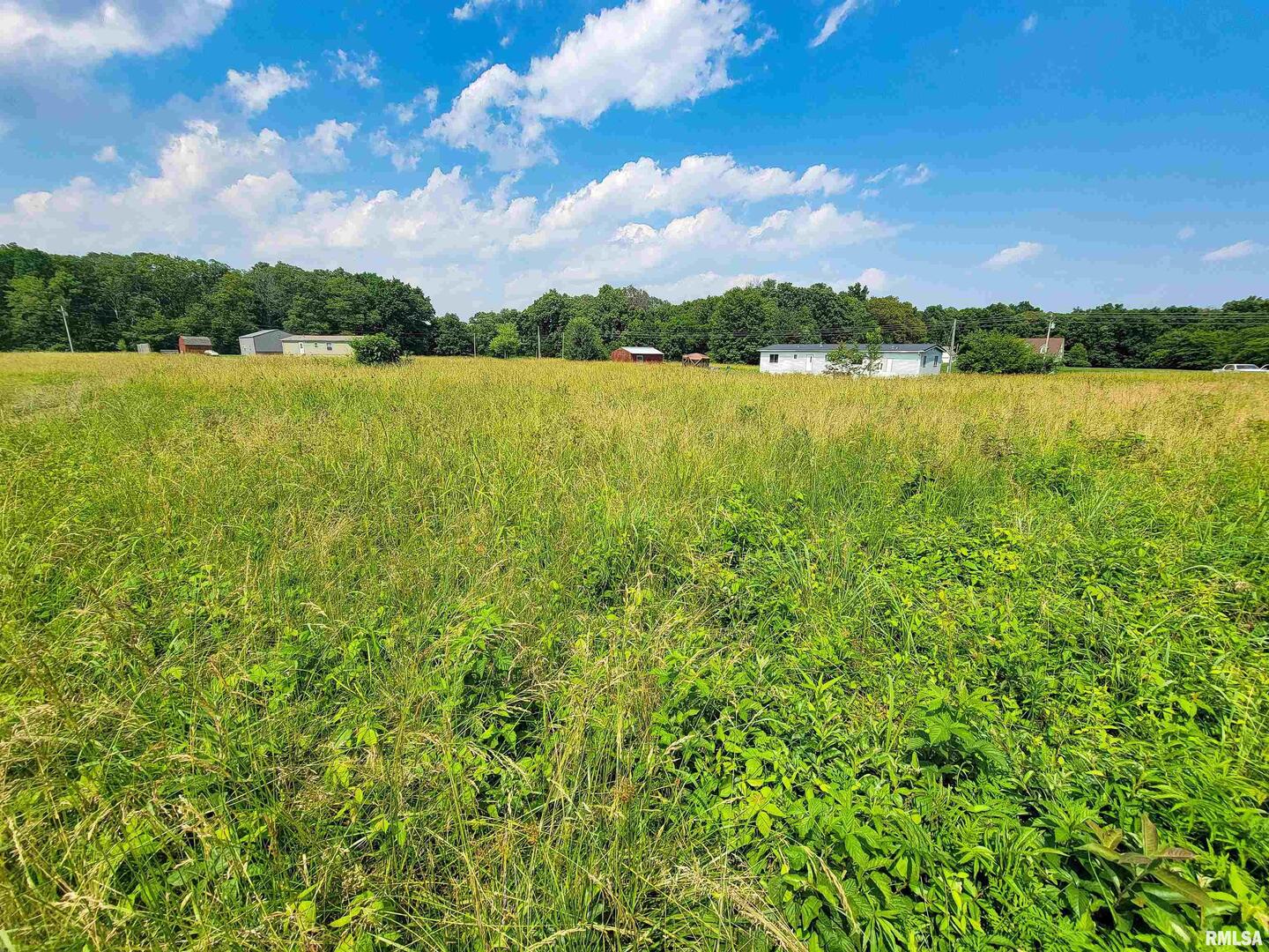 199 Hanging Rock Road Flora, IL 62839 - Photo 3 of 10 a view of a lake with houses in the back