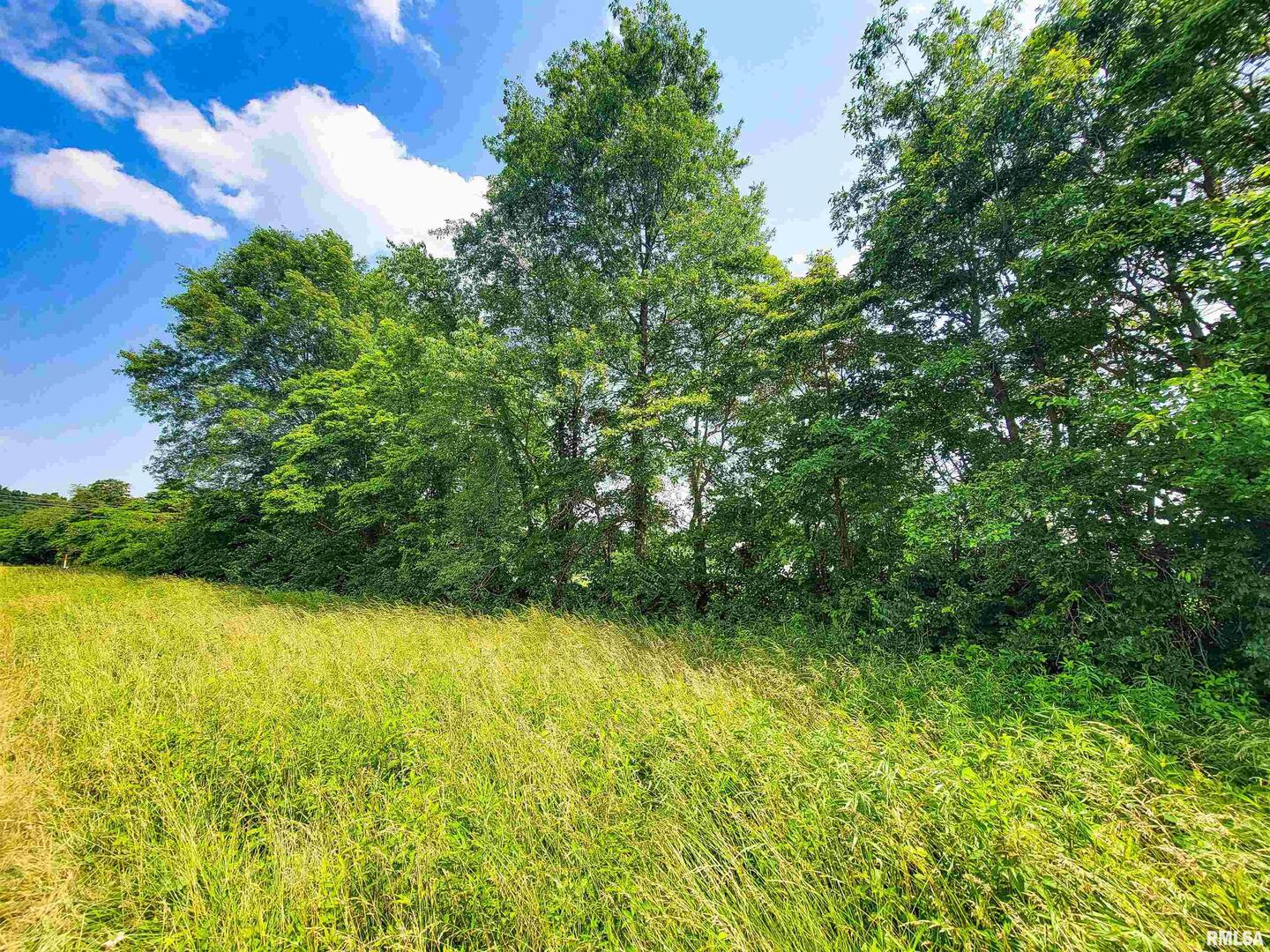 199 Hanging Rock Road Flora, IL 62839 - Photo 4 of 10 a view of a lake view