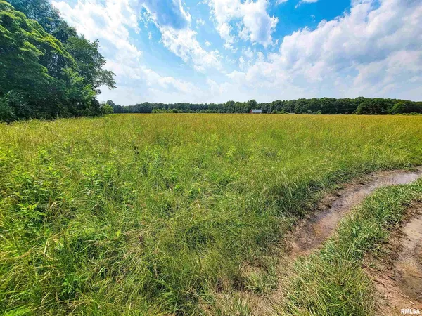 $59,900 | 199 Hanging Rock Road, Flora, IL 62839