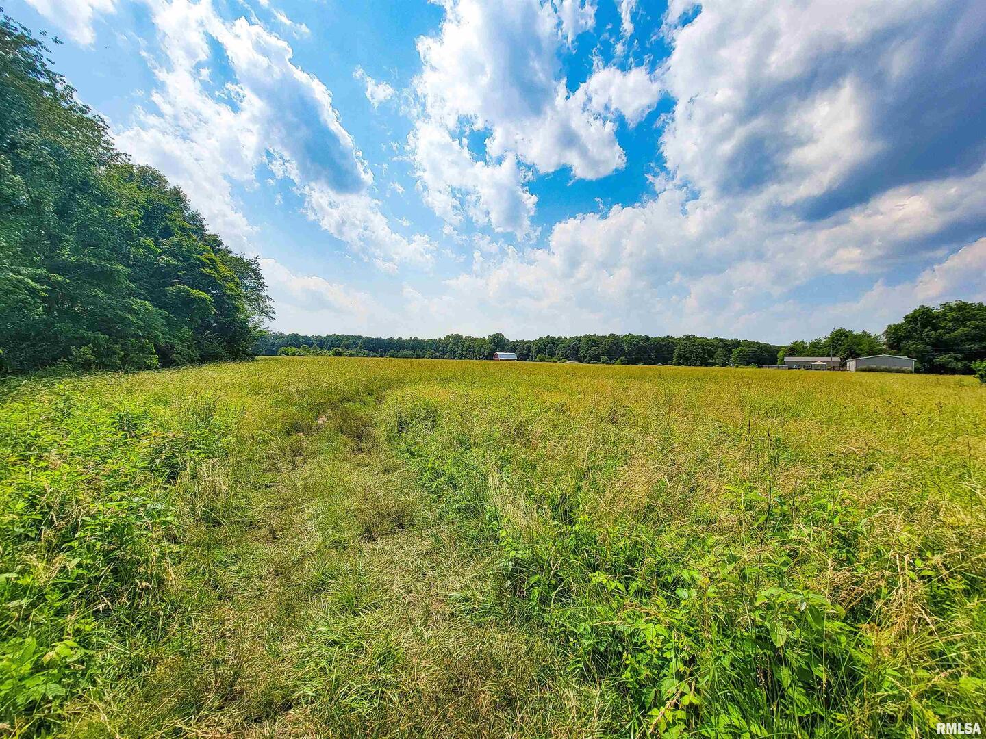 199 Hanging Rock Road Flora, IL 62839 - Photo 7 of 10