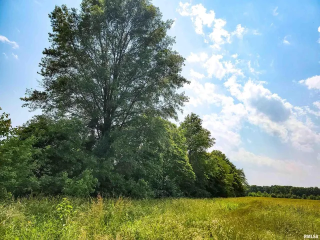 $69,900 | 199 Hanging Rock Road, Flora, IL 62839