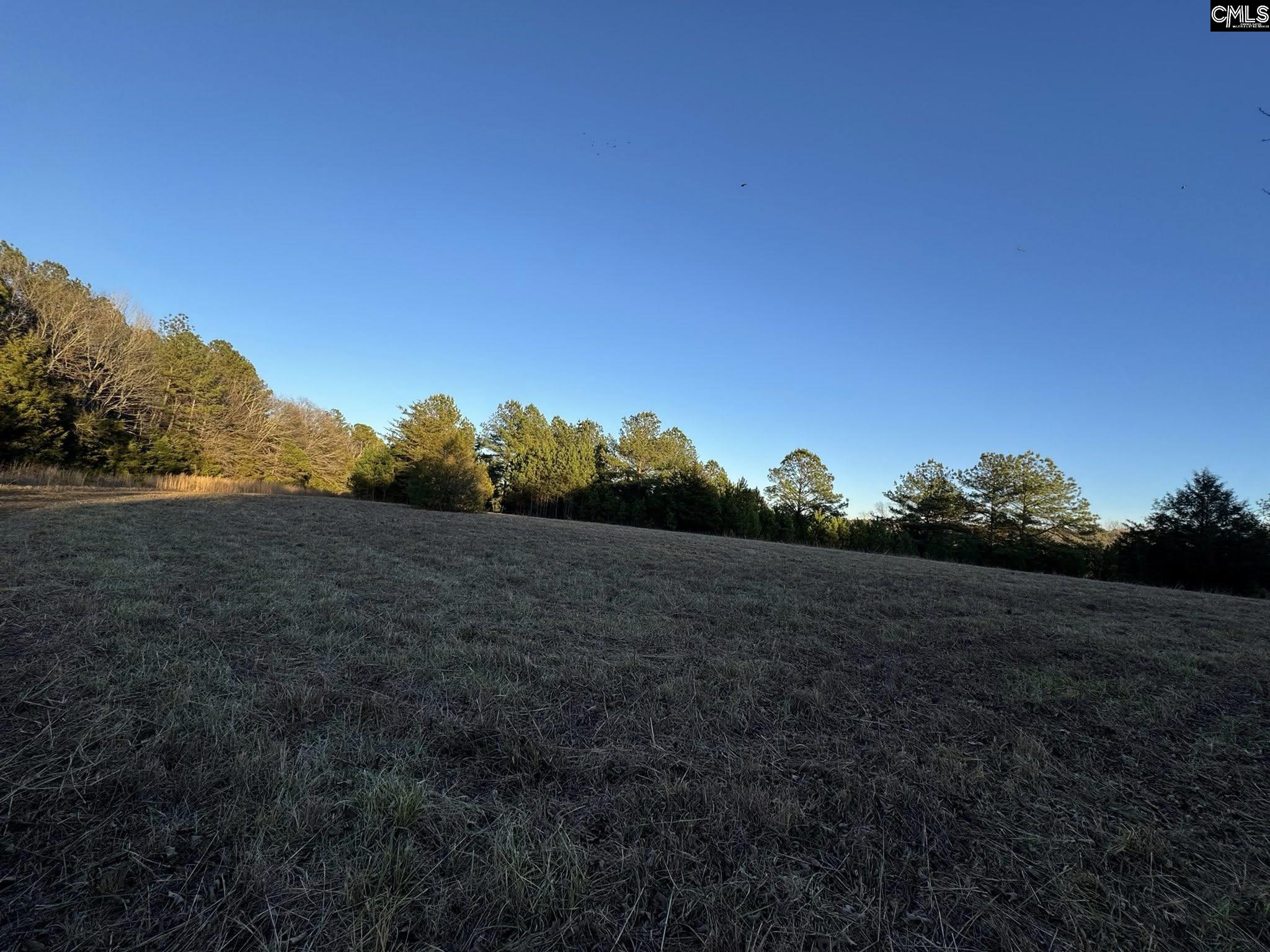 150 Floyd Lanford Road Woodruff, SC 29388 - Photo 32 of 65