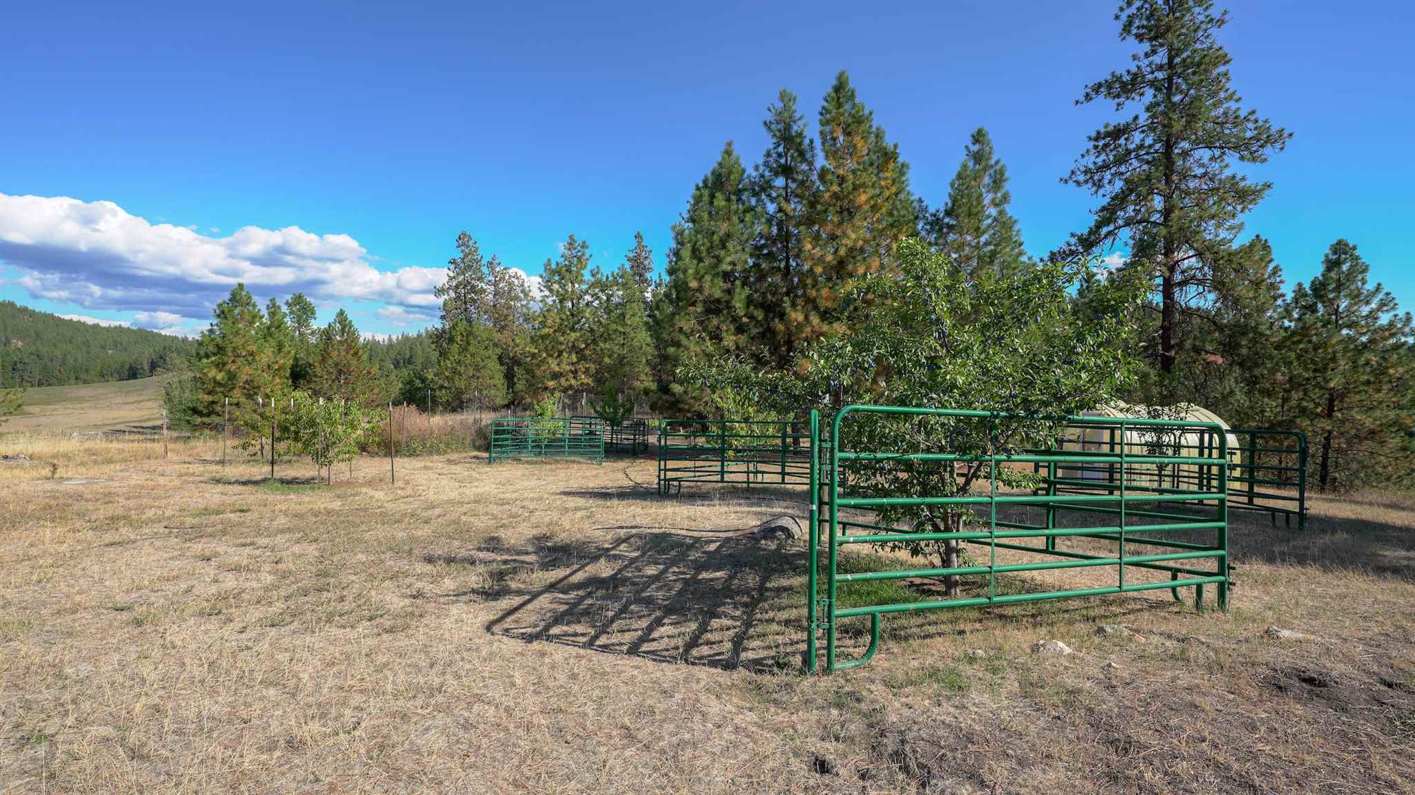 724 B Mahoney Road Colville, WA 99114 - Photo 37 of 50