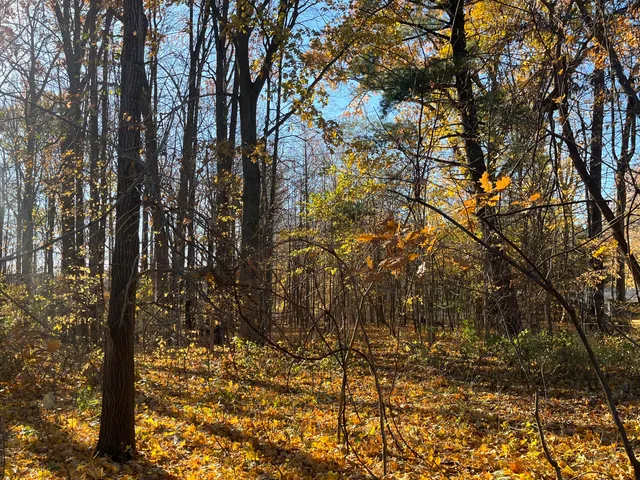 $125,000 | 1120 60th Street Southeast, Grand Rapids, MI 49508