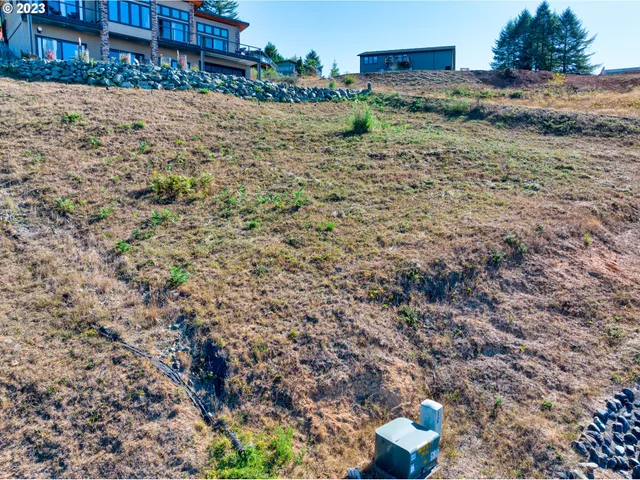 a view of a yard with large trees