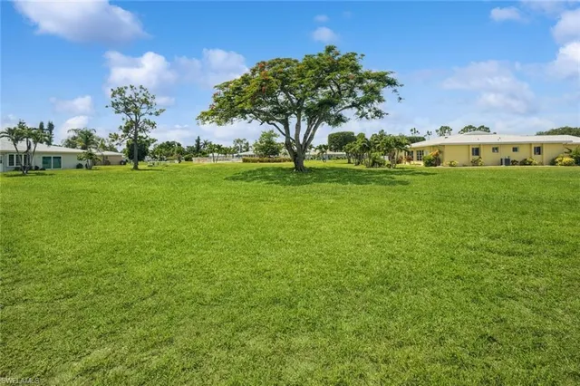 a view of a green field