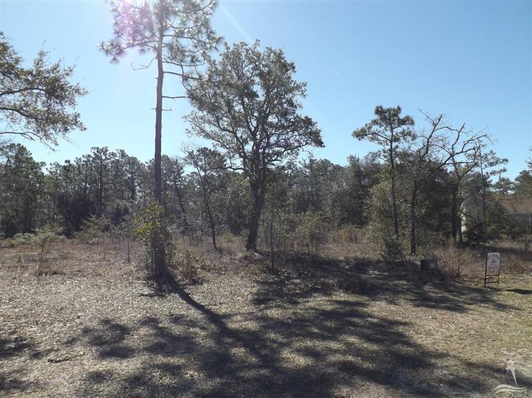 4674 Port Loop Road Southeast Southport, NC 28461 - Photo 1 of 1 Primary Photo