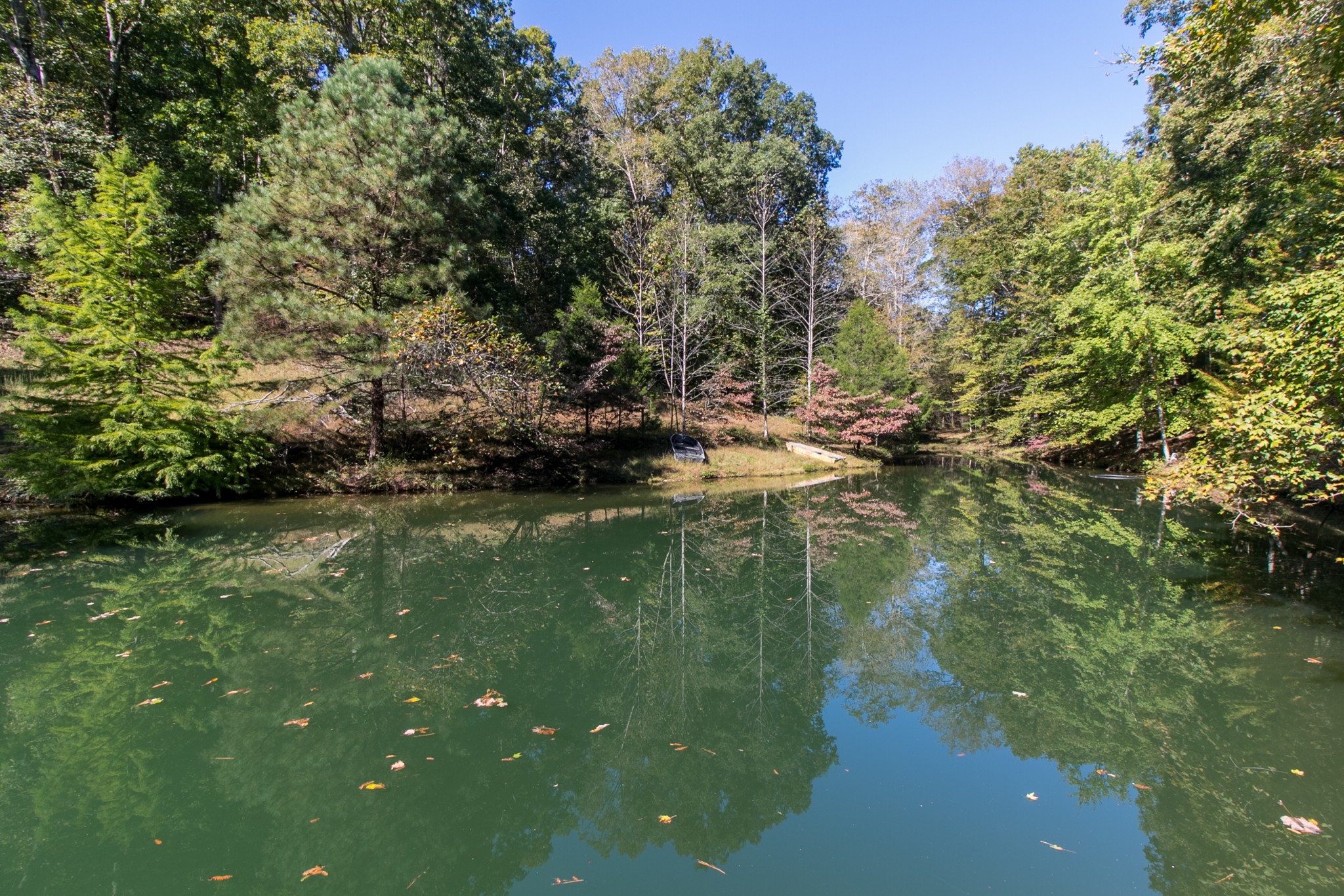265 Turkey Branch Road Goodspring, TN 38460 - Photo 22 of 50 a view of a lake from a yard