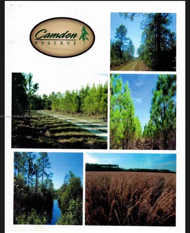 $6,896,000 | 649 Chimney Rock Road, White Oak, GA 31568