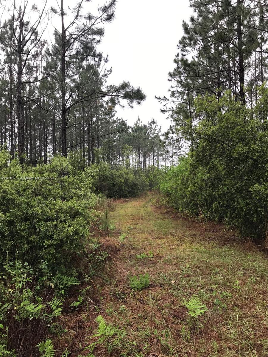 649 Chimney Rock Road White Oak, GA 31568 - Photo 16 of 27