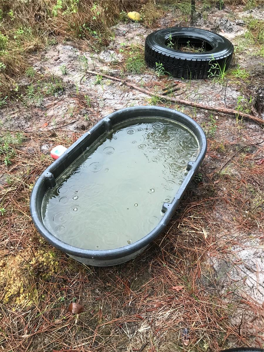 649 Chimney Rock Road White Oak, GA 31568 - Photo 19 of 27