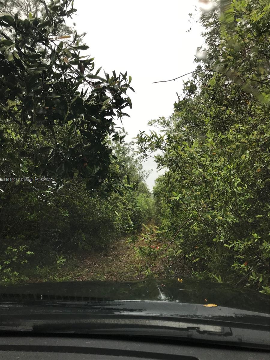 649 Chimney Rock Road White Oak, GA 31568 - Photo 27 of 27