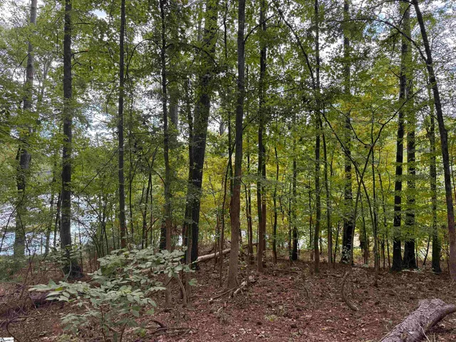 $850,000 | Watersedge Drive, Cross Hill, SC 29332