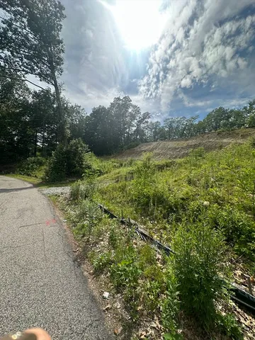 a view of a field with an trees