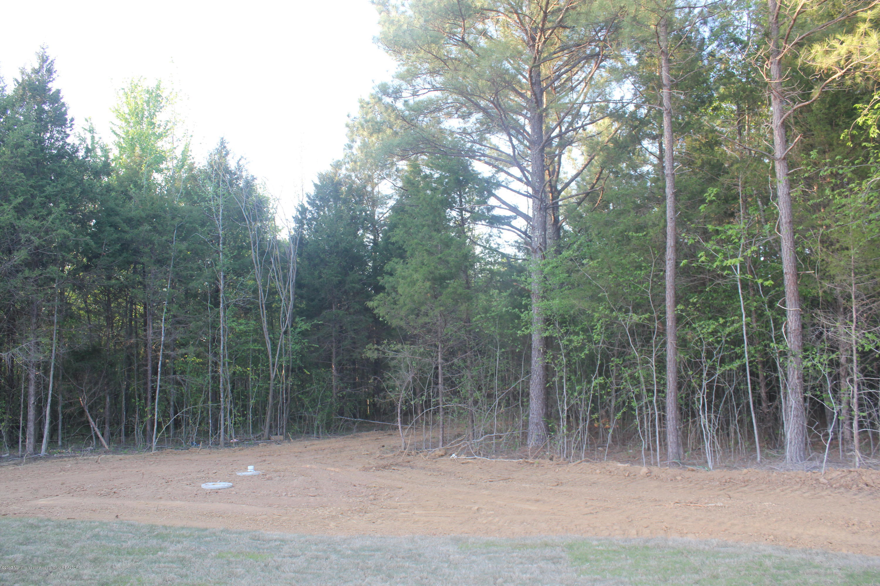 3984 Hernando Road Holly Springs, MS 38635 - Photo 30 of 32 005