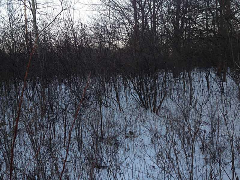 422 New Route New Castle, PA 16101 - Photo 8 of 9 Land.