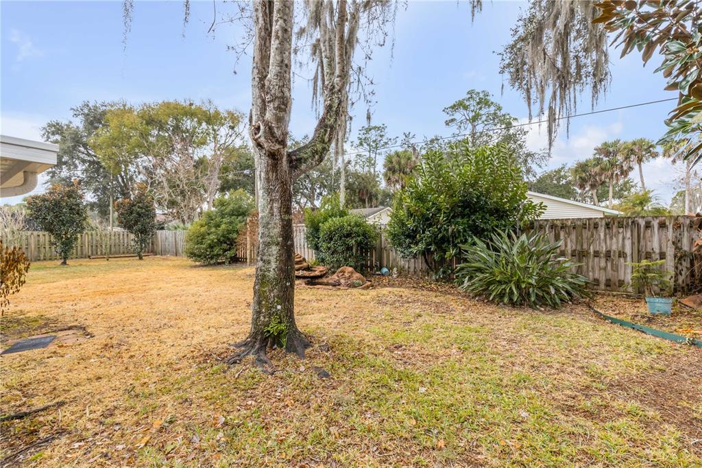 2704 Orange Tree Drive Edgewater, FL 32141 - Photo 41 of 56