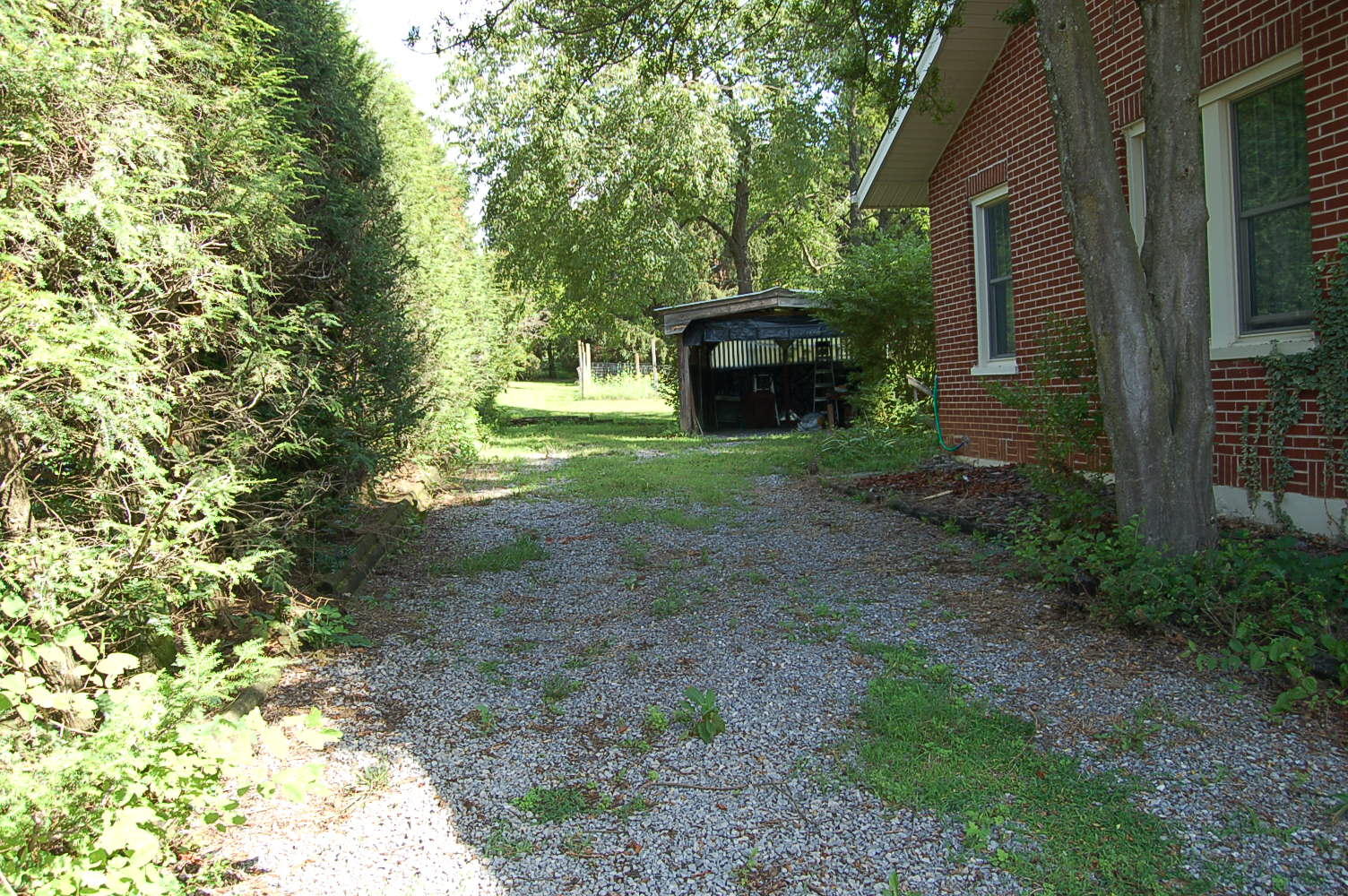 48 Fields Avenue Blue Ridge, VA 24064 - Photo 43 of 46 a view of a house with a garden and trees