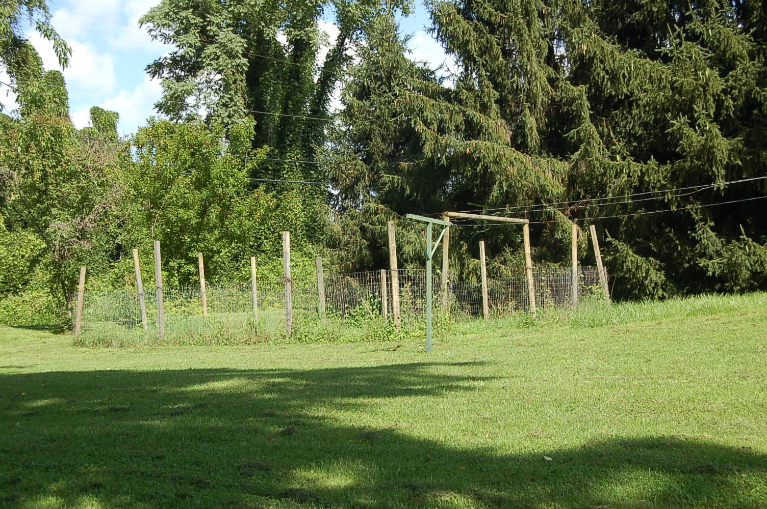 48 Fields Avenue Blue Ridge, VA 24064 - Photo 44 of 46 a view of a park