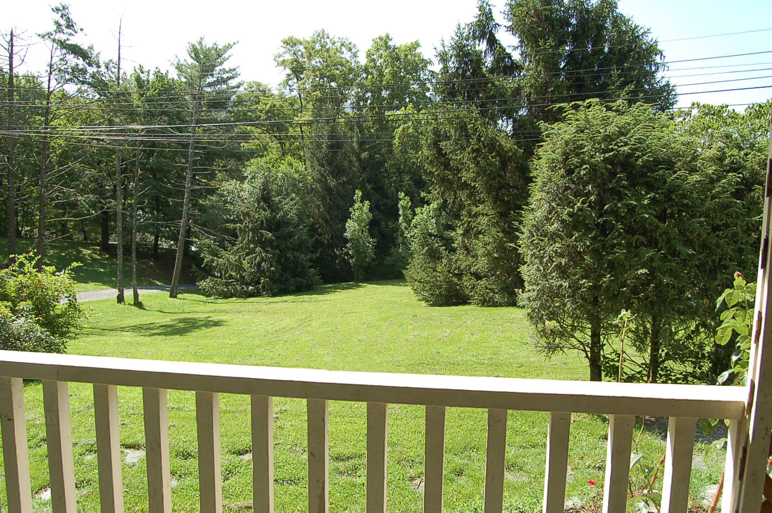 48 Fields Avenue Blue Ridge, VA 24064 - Photo 46 of 46 a view of a yard and deck