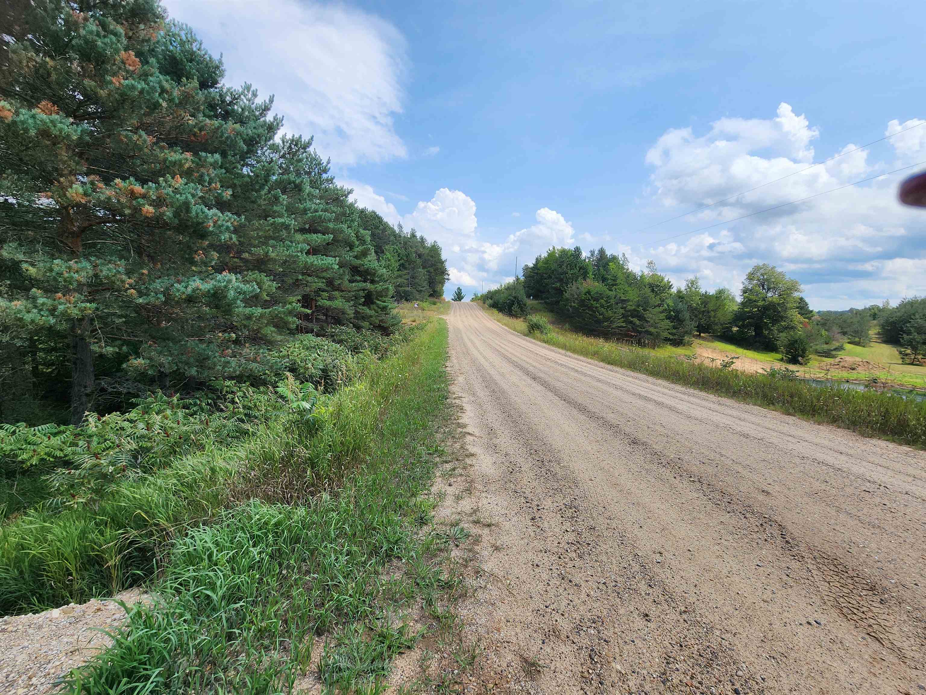Parcel A East 18 1/2 Road Manton, MI 49663 - Photo 5 of 42 Gallery Image 5