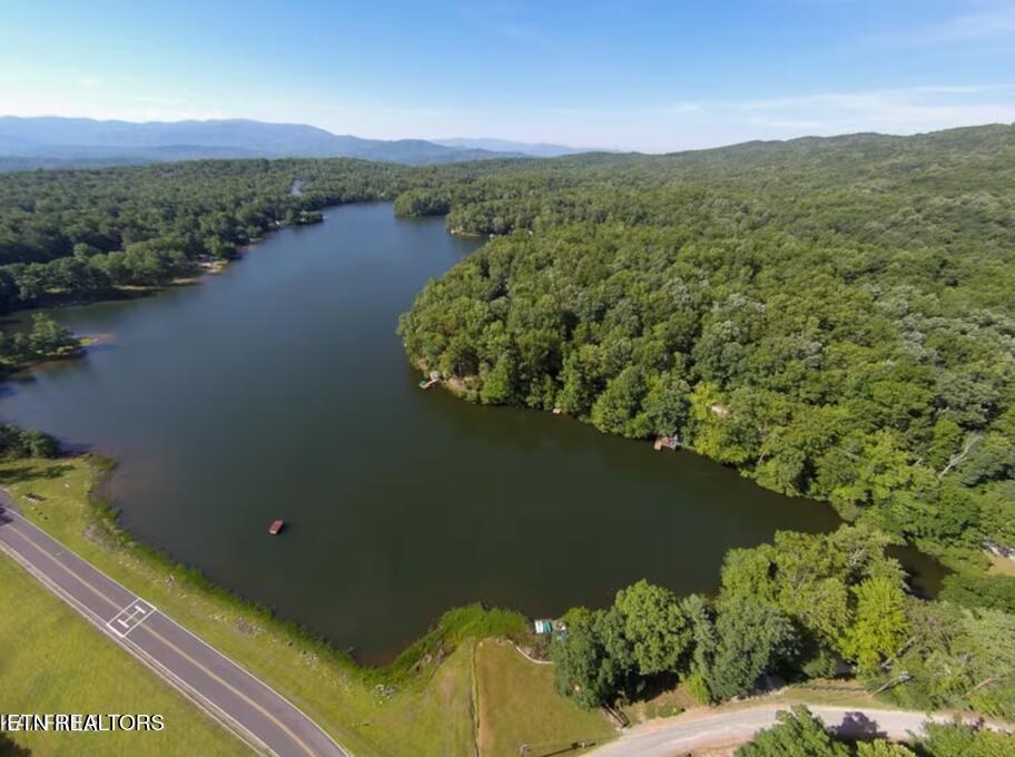 6814 Flats Road Tallassee, TN 37878 - Photo 19 of 22 Private Lake 2